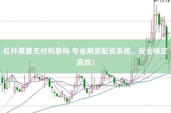 杠桿需要支付利息嗎 專業(yè)期貨配資系統(tǒng)，安全穩(wěn)定高效！
