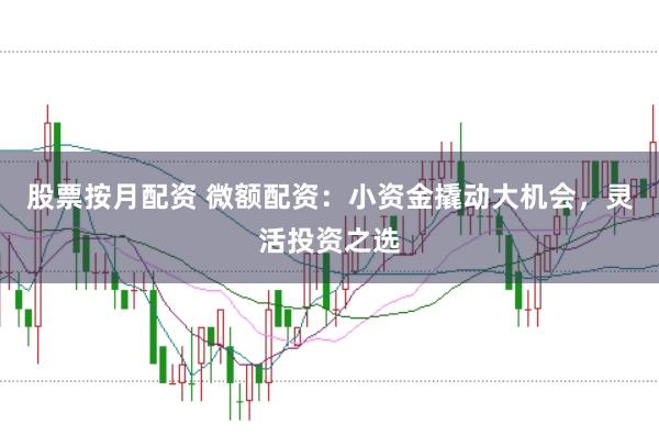 股票按月配資 微額配資：小資金撬動(dòng)大機(jī)會(huì)，靈活投資之選