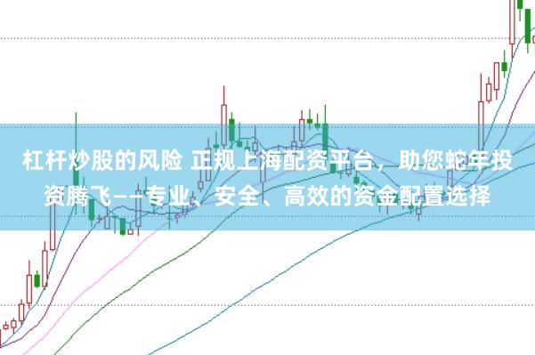杠桿炒股的風(fēng)險(xiǎn) 正規(guī)上海配資平臺(tái)，助您蛇年投資騰飛——專業(yè)、安全、高效的資金配置選擇