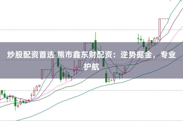 炒股配資首選 熊市鑫東財(cái)配資：逆勢(shì)掘金，專業(yè)護(hù)航